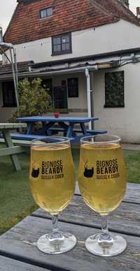 Bignose and Beardy Medium review